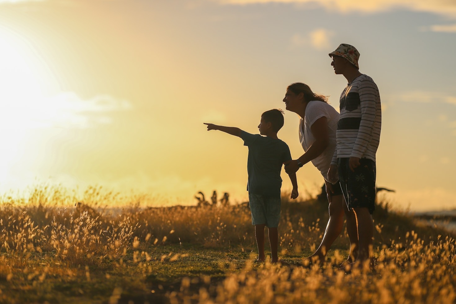 Creating a Family Newsletter: Step by Step